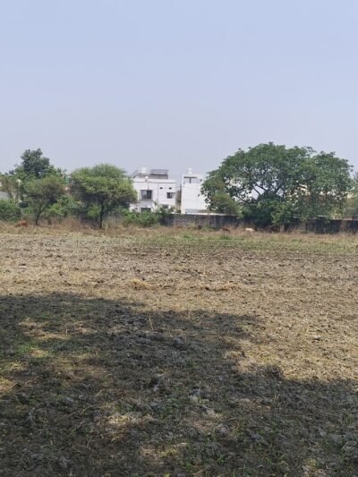 Plot